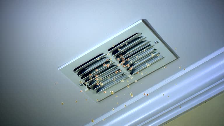 Ductwork Cleaning Services in Rochester Hills, MI